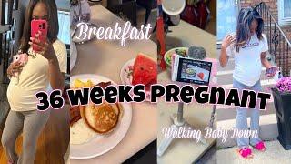 VLOG: baby can come any day now  , took a break + first day of labor prep 