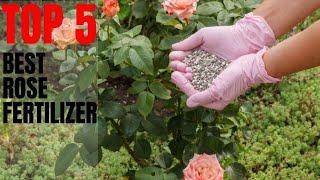  TOP 5: Best Rose Fertilizer | Fertilizer for Rose Plant 