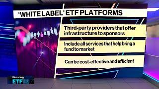 Tidal's Venuto on Business of 'White Labeling' Funds