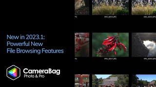 CameraBag 2023.1 — Powerful New File Browsing Features