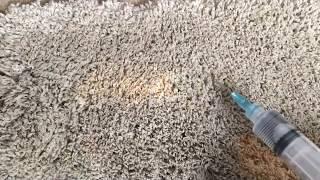 Cheshire Rug Cleaning: How to restore bleach spot on rug