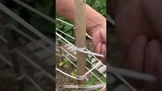 Building a Simple Wooden and String Trellis for Climbing Plants