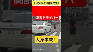 【交通事故鬼クラクション】信号無視バアサン