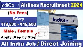 Indigo Airlines Job Vacancies 2024 | Airport Job Vacancy | Indigo Hiring | Private Job Vacancy 2024