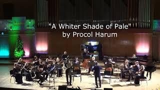 Procol Harum - «A Whiter Shade of Pale». Arkady Shilkloper (Horn) & Igor Lerman's Chamber Orchestra.