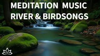 RELAXING Tranquil Meditation Music, Nature Sounds, Flowing Water & Birds Song