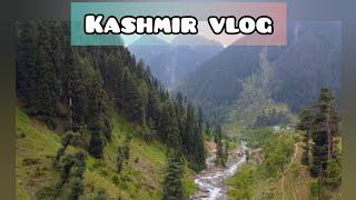 Kashmir Vlog Part -1 Pahalgam, Nishad Bagh, Boat ride! ️️ A virtual tour to Kashmir