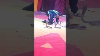 شاهد أخطر انواع الثعابين السامه مع يسري كوبرا #cobra #snake #python #animals #egypt #naja