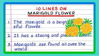 10 LINES ON MARIGOLD FLOWER | FEW LINES ON MARIGOLD FLOWER | 5 | FIVE LINES ON MARIGOLD | ESSAY ON