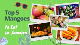 Top 5 Mangoes to Eat in Jamaica | #fortheloveoffood