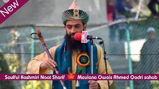 New Kashmiri Naat by Moulana Owais Qadri || kashmiri naat Sharif, Owais Qadri naat at Dreygam Budgam