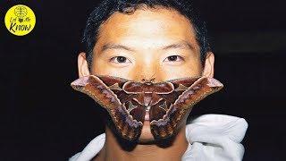 This Rare Butterfly Species Was Dying Out, So A Biologist Started A One Man Conservation Effort