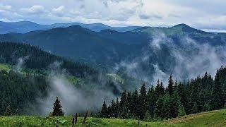 The beauty of the Carpathian Mountains | Air video in 4K. Карпаты с высоты птичьего полета.