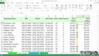 microsoft excel tutorial | Creating value-based formatting using data bars, color scales, and icons