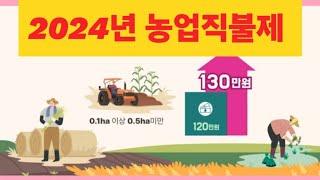 2024년 변경된 농업직불제! 소농직불금 지급요건 및 수준!(농사의신)