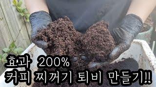 성장이 빨라지고 수확량이 많아지는 커피 찌꺼기의 힘!!  식물을 더 풍성하고 건강하게 키울 수 있는 커피 찌꺼기 퇴비 만들기!