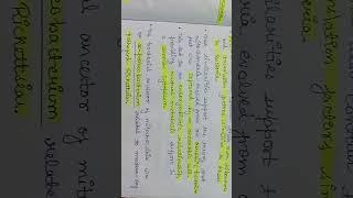 #how did the first eukaryotic cell arise ?