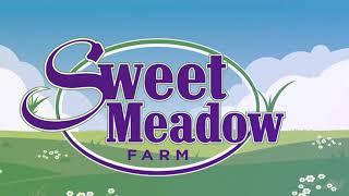 Sweet Meadow Farms Drill Team Performance