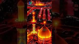 Ya Zehra | Ya Aba Abdillah | Ayyame Fatima | Majlis | Karbala | Ya Ali #shortsvideo