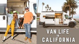 Van Life in California | Big Sur | Flower Fields | Our Dog