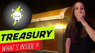 VOLT INU TREASURY- WHAT'S INSIDE???!