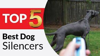 Top 5 Best Dog Silencers in 2025 - Dog Silencer Reviews