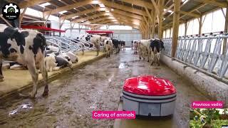 Levelop Discovery Robot for Barn manure collection|Machine that can clean shits of animals automatic