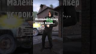Маленький сталкер устроил бардак... #STALKER #ТеньЧернобыля