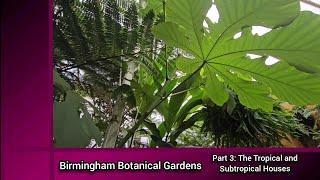 Birmingham Botanical Gardens Part 3: The Tropical and Subtropical Houses