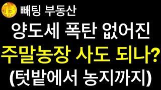 부동산 양도세 폭탄 없어진 주말농장 이제는 사도 되나?  텃밭에서 농지까지 커져가는 농사일  1000㎡ 이상 농지의 상대적 가치