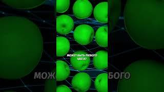3 вопроса, чтобы понять, насколько ты разбираешься в нейросетях! #нейросеть #нейросети #ии