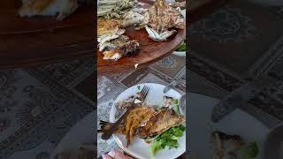 Эх Батуми ) прекрасный край