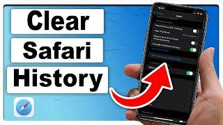 How to Delete Search History on Safari on iPhone - Full Guide 2024