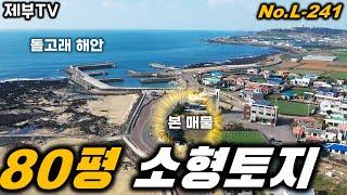 바다 영구 조망에 건축 허가까지? L-241 세상에 마상에 구하기 힘든 땅이 나왔어요~ 제주도 부동산 매물,Jeju House for sale,Korea,제주도부동산TV