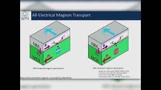 Matthias Althammer, Technical University Munich, Germany- TMAG2022