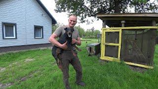 ПЛОХИЕ НОВОСТИ , ДИКИЕ ЖИВОТНЫЕ ГРАБЯТ МЕНЯ ПО НОЧАМ! ЖИЗНЬ в ЛЕСУ. №348