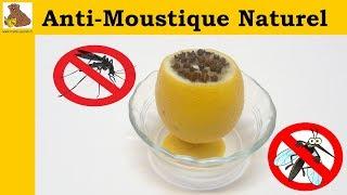 Anti-moustique naturel - recette rapide et facile