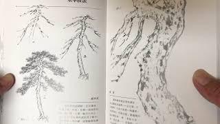 How to Paint Clouds, Water, Pine Trees and Rocks Video Book Review