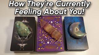  How They're Currently Feeling About You! Pick A Card Love Reading