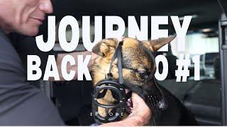 The Journey Back to Number 1 | Ep 021