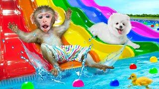 KiKi Monkey built a Waterpark with Swimming Pool & Colorful Waterslide with puppy | KUDO ANIMAL KIKI