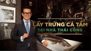 Một bữa ăn 120 Triệu! Vì sao trứng Cá Tầm (CAVIAR) lại đắt như vậy?