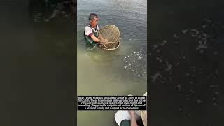 Process of Coastal Fishery Netting Juvenile Fish