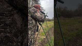 #hunting #chasse #sanglier #wildboar ##chasseur #caccia #cinghiale