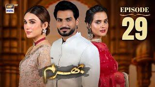 Bharam Episode 29 | Hina Tariq | Rabya Kulsoom | Omer Shahzad | 6 Jan 2025 | ARY Digital