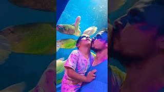 Would you visit the nightmare aquarium? |Giant Fish Tank #aquarium #giantfish #fish #machli #shorts