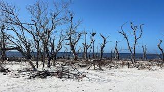 Cayo Costa Post Hurricane Milton