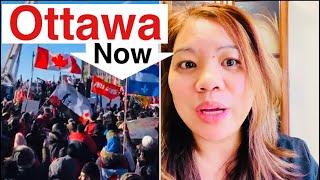 HAPPENING IN OTTAWA NOW |Life in Canada |must watch |sarah buyucan