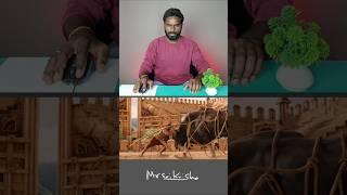 bahubali 2 prabhas real bull || VFX || Mr Sai Krishna