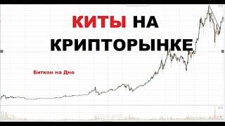 Киты в Криптовалюте. Биткоин Идет на Дно. Биткоин Пузырь.